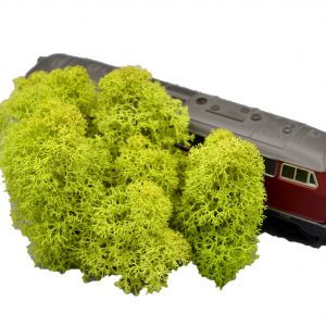 Muwse Islandmoos Frühlingsgrün 10 g Maßstab Spur H0 Modellbau