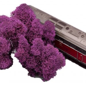 Muwse Islandmoos Viola 10 g Maßstab Spur H0 Modellbau