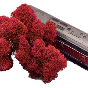 Muwse Islandmoos Mohnrot 10 g Maßstab Spur H0 Modellbau