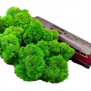 Muwse Islandmoos Grasgrün 25 g Maßstab Spur H0 Modellbau