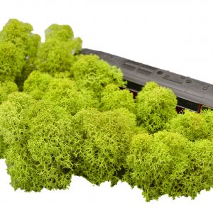 Muwse Islandmoos Frühlingsgrün 25 g Maßstab Spur H0 Modellbau