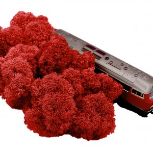 Muwse Islandmoos Mohnrot 25 g Maßstab Spur H0 Modellbau