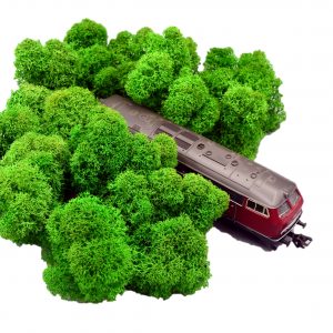 Muwse Islandmoos Grasgrün 50 g Maßstab Spur H0 Modellbau