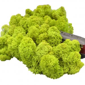 Muwse Islandmoos Frühlingsgrün 50 g Maßstab Spur H0 Modellbau