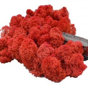 Muwse Islandmoos Mohnrot 50 g Maßstab Spur H0 Modellbau
