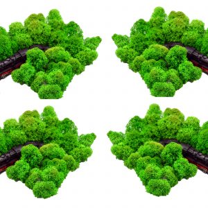 Muwse Islandmoos Grasgrün 100 g Maßstab Spur N Modellbau