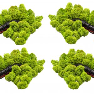 Muwse Islandmoos Frühlingsgrün 100 g Maßstab Spur N Modellbau