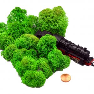 Muwse Islandmoos Grasgrün 10 g Maßstab Spur N Modellbau