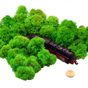 Muwse Islandmoos Grasgrün 25 g Maßstab Spur N Modellbau