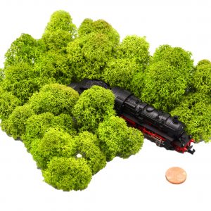 Muwse Islandmoos Frühlingsgrün 25 g Maßstab Spur N Modellbau