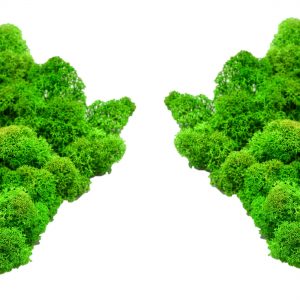 Muwse Islandmoos Grasgrün 50 g Maßstab Spur N Modellbau