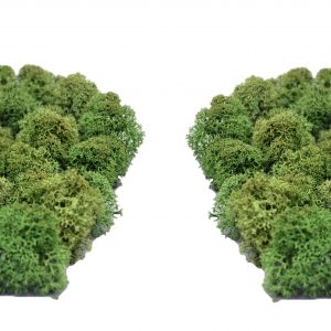 Muwse Islandmoos Tannengrün 50 g Maßstab Spur N Modellbau