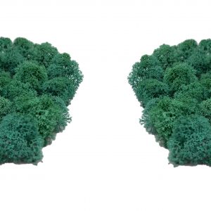 Muwse Islandmoos Kieferngrün 50 g Maßstab Spur N Modellbau