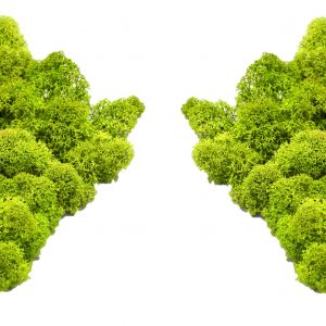 Muwse Islandmoos Frühlingsgrün 50 g Maßstab Spur N Modellbau