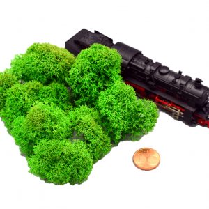 Muwse Islandmoos Grasgrün 5 g Maßstab Spur N Modellbau