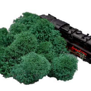 Muwse Islandmoos Kieferngrün 5 g Maßstab Spur N Modellbau