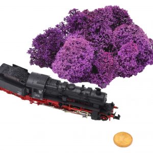 Muwse Islandmoos Viola 5 g Maßstab Spur N Modellbau