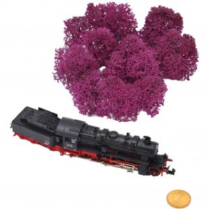 Muwse Islandmoos Veilchen Pink 5 g Maßstab Spur N Modellbau