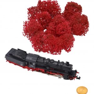 Muwse Islandmoos Mohnrot 5 g Maßstab Spur N Modellbau