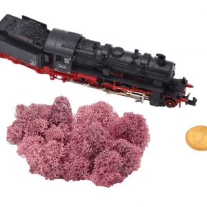 Muwse Islandmoos Rosa 5 g Maßstab Spur N Modellbau