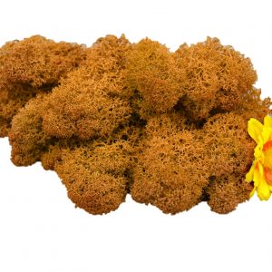 Muwse Islandmoos Melonengelb 25 g Maßstab Spur 0 Modellbau