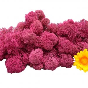 Muwse Islandmoos Veilchen Pink 50 g Maßstab Spur 0 Modellbau