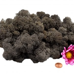 Muwse Islandmoos Dunkelgrau 50 g Maßstab Spur 0 Modellbau