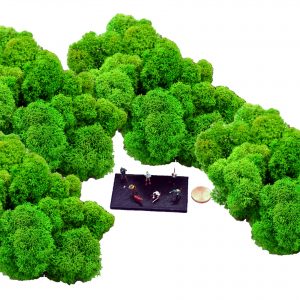 Muwse Islandmoos Grasgrün 100 g Maßstab Spur TT Modellbau