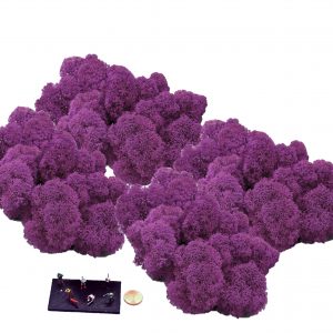 Muwse Islandmoos Viola 100 g Maßstab Spur TT Modellbau