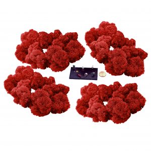 Muwse Islandmoos Mohnrot 100 g Maßstab Spur TT Modellbau