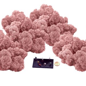 Muwse Islandmoos Rosa 100 g Maßstab Spur TT Modellbau