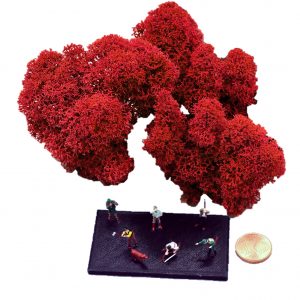 Muwse Islandmoos Mohnrot 10 g Maßstab Spur TT Modellbau