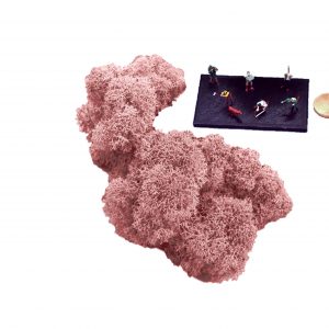 Muwse Islandmoos Rosa 10 g Maßstab Spur TT Modellbau