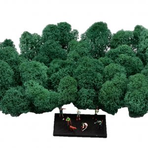 Muwse Islandmoos Kieferngrün 25 g Maßstab Spur TT Modellbau