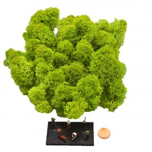 Muwse Islandmoos Frühlingsgrün 25 g Maßstab Spur TT Modellbau