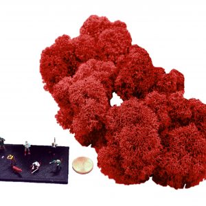 Muwse Islandmoos Mohnrot 25 g Maßstab Spur TT Modellbau