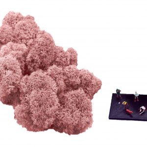 Muwse Islandmoos Rosa 25 g Maßstab Spur TT Modellbau