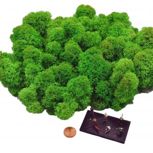 Muwse Islandmoos Grasgrün 50 g Maßstab Spur TT Modellbau