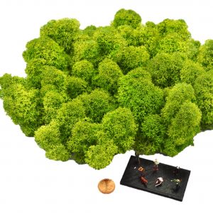 Muwse Islandmoos Frühlingsgrün 50 g Maßstab Spur TT Modellbau