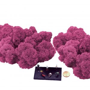 Muwse Islandmoos Veilchen Pink 50 g Maßstab Spur TT Modellbau