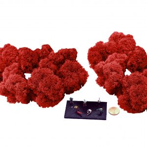 Muwse Islandmoos Mohnrot 50 g Maßstab Spur TT Modellbau